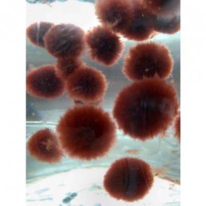 144161.jpg 144161.jpg